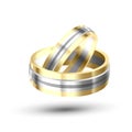 Golden With Silver Element Wedding Rings Vector