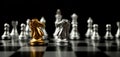 Golden and silver horse chess pieces Invite face to face and There are silver chess pieces in the background. Concept of competing Royalty Free Stock Photo