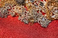 Golden and silver jewelry on red shiny glitter background Royalty Free Stock Photo