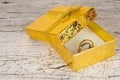 Golden and silver pair rings in gift box