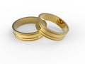 Golden and silver wedding rings Royalty Free Stock Photo