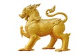 Golden singha on white background Royalty Free Stock Photo