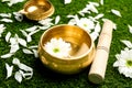 Golden singing bowl with flower and mallet on green grass, closeup. Sound healing