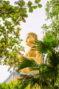 Golden sitting Buddha statue in green tropical trees leaves frame