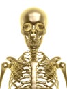 Golden skeleton