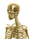 Golden skeleton