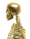 Golden skeleton