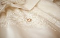 Golden smoth wedding rings on silk wedding dress