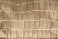 Golden snake or crocodile skin pattern imitation made of artificial faux leather. Reptil animal skin ornamentn on fabric. Closeup Royalty Free Stock Photo