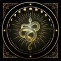 Golden Snake and Phases of Moon Astrological Illustration