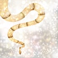 Golden snake on silver backgound