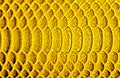 Golden snake skin, as a background