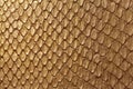 Golden Snake Leather