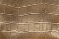 Golden snake skin pattern imitation made of faux leather. Crocodile skin surface texture made from artificial leather Royalty Free Stock Photo