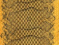 Golden snake skin texture, as background. Natural reptile leather