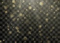 Golden snowfall. Christmas and New Year background. Frost Snow and Sunshine. Winter pattern with crystallic snowflakes. Vector