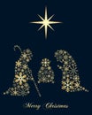 Golden Snowflakes Christmas Nativity