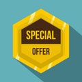 Golden special offer label icon, flat style