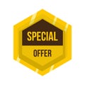 Golden special offer label icon, flat style