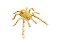 Golden spider