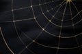 Golden spider web pattern on black fabric background with soft folds and shadows Royalty Free Stock Photo