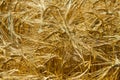 Golden spikelets symbol of harvest and fertility