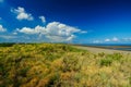 The golden Spinifex decorate whole beach