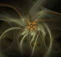 Golden spiral flowers fractal picture