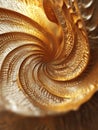 Golden Spiral Shell Texture Closeup of a golden spiral shell showcasing intricate textures and a mesmerizing pattern Luxury Royalty Free Stock Photo