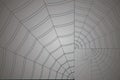Golden spiral white web on a gray background Royalty Free Stock Photo