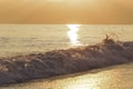 Golden splashing sea wave at sunset sky and soft sun light background