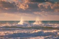 Golden splashing waves and sunrise sea