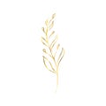 The golden sprig. Vector image with a golden twig. Template for the logo element.