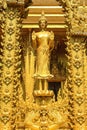 The golden standing Budda statue Royalty Free Stock Photo