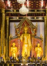 Golden standing Buddha statue inside the viharn of Wat Chedi Luang, Chiang Mai, Thailand Royalty Free Stock Photo