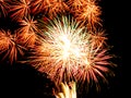 Golden star burst and sparkles.Spectacular fireworks Royalty Free Stock Photo