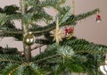 Golden star christmas decoration. Royalty Free Stock Photo