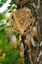 Golden star dreamcatcher mandala with feathers in park