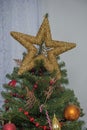 Golden star on the top of a tree Royalty Free Stock Photo