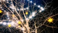 golden stars and neon light bulb garland hanging on bare tree branches in winter at night. Background of Christmas Royalty Free Stock Photo