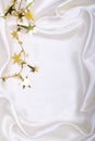 Golden stars and spangles on white silk Royalty Free Stock Photo