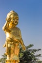 Golden statue of Buddha at the Mayadevi temple in Lumbini Royalty Free Stock Photo