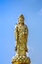 Golden statue of the goddess of mercy guanyin or guan yin standing on the lotus on blue sky background. buddhist and religion