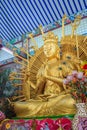 Golden statue of Guan Yin with 1000 hands. Guanyin or Guan Yin i