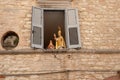 Golden statue of Saint Ubaldo looking down on street below during Festa dei Ceri and ceramic jug with name in open window above