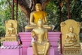 Golden statues of sitting Buddha outside Thai temple in Sarnath near Varanasi