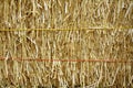 Golden straw bale