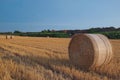 Golden straw bales on a field in Rome, Italy. Large round bundles of cereal crop for livestock bedding. Countryside scenery. Royalty Free Stock Photo