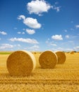 Golden straw bales of hay in the stubble field, agricultural field under a blue sky with clouds Royalty Free Stock Photo