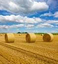 Golden straw bales of hay in the stubble field, agricultural field under a blue sky with clouds